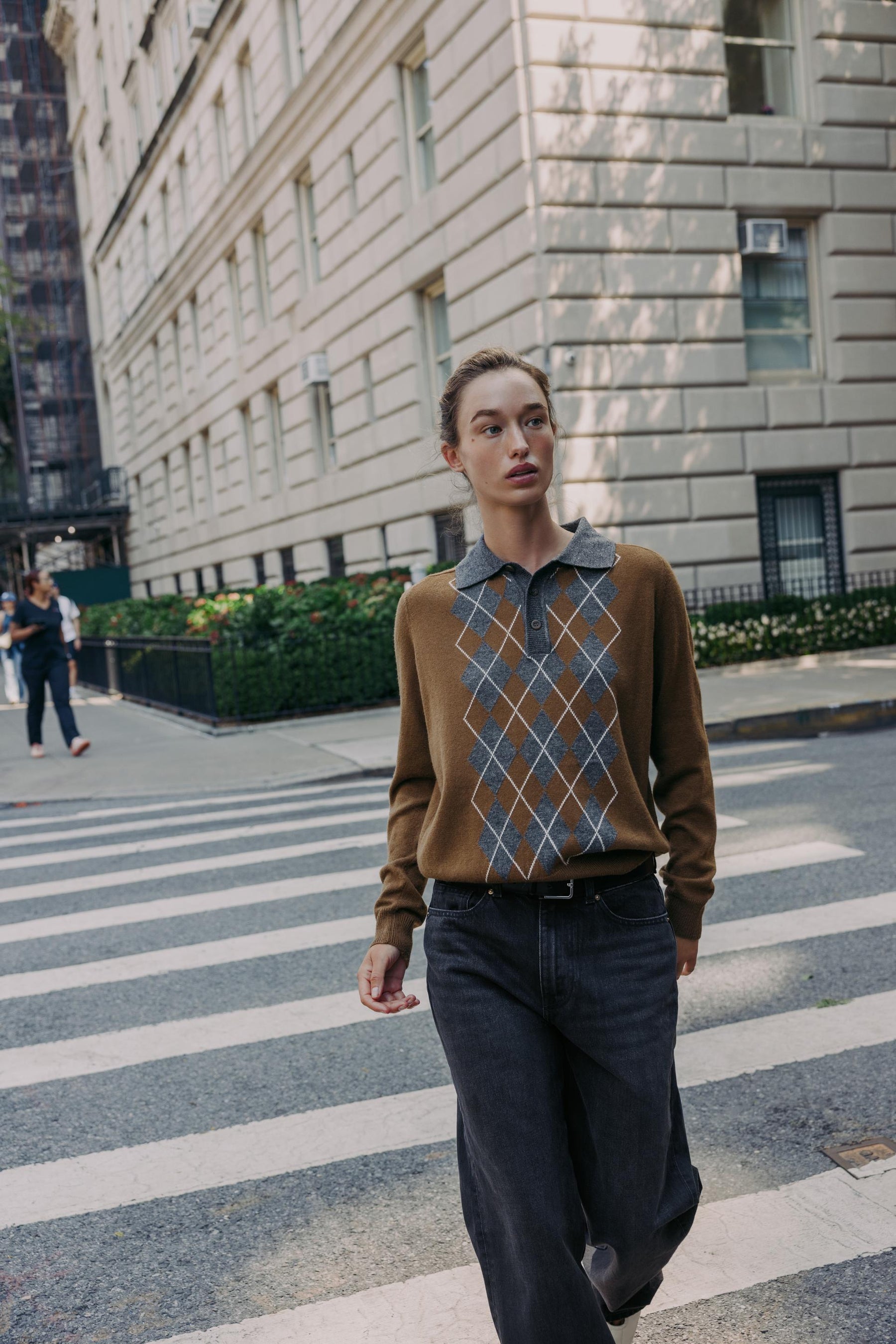 Argyle Knit Polo Shirt